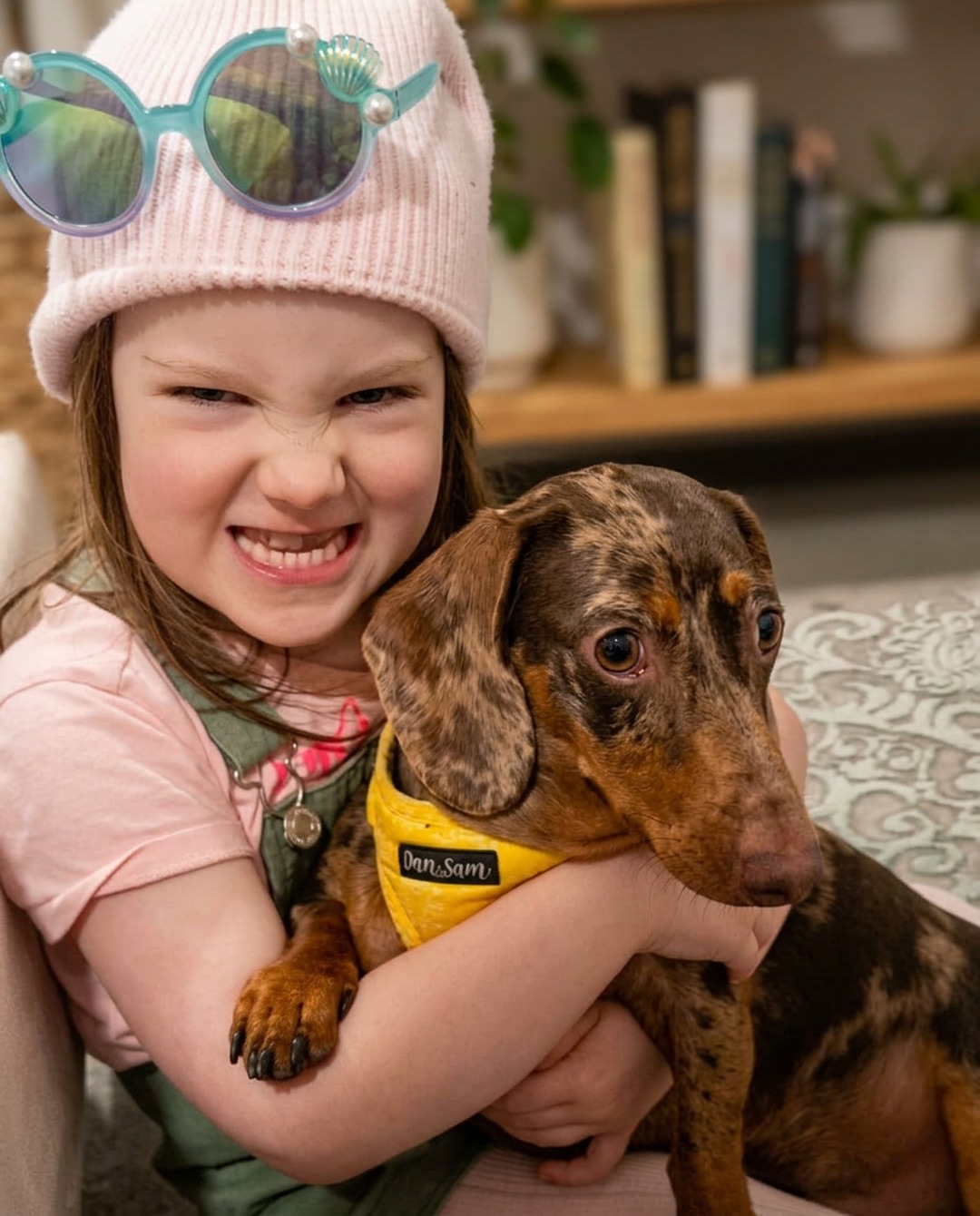 Paloma and Marvin the dachshund, mid-cuddle quality control