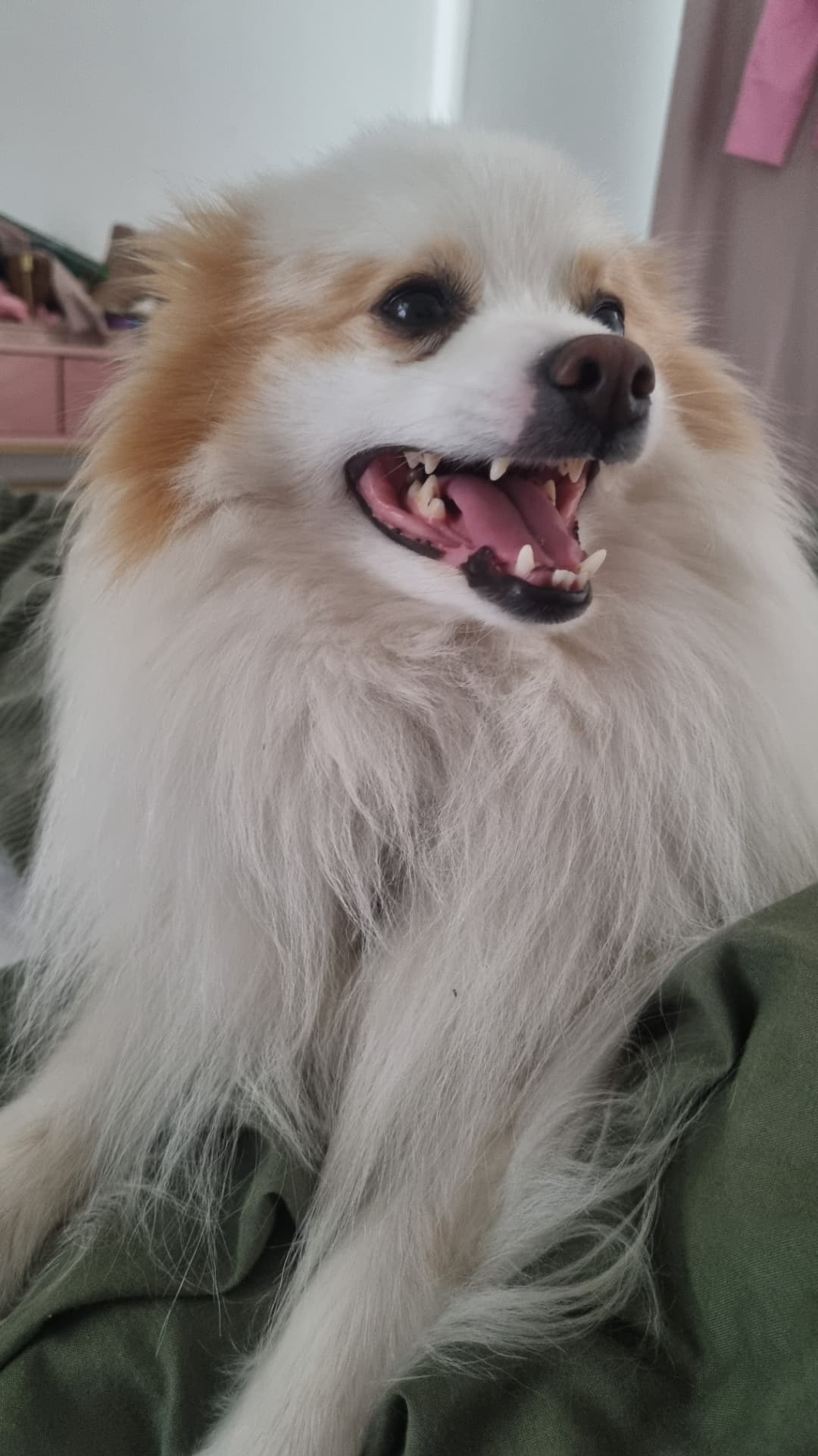 George — real Pawloma photo