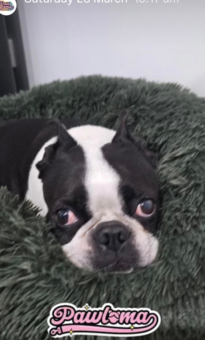 Floyd — real Pawloma photo