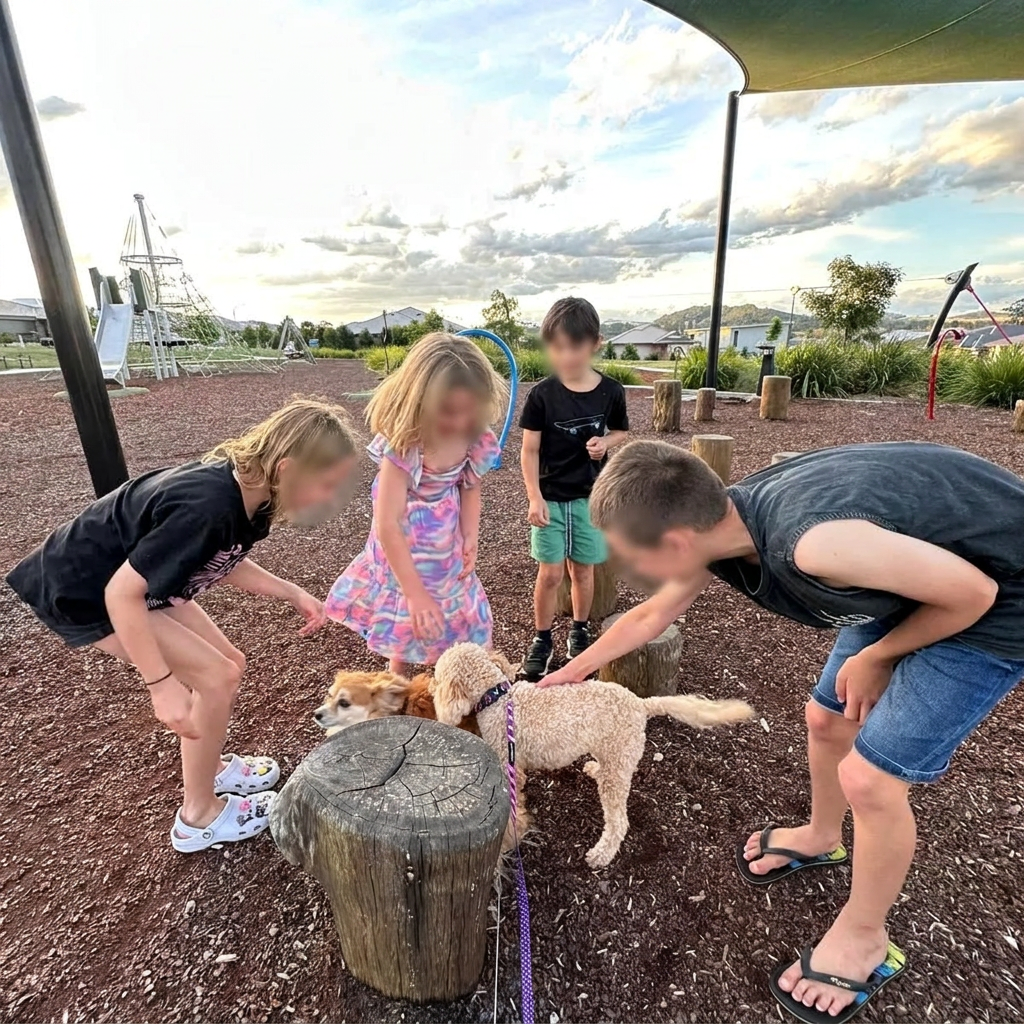 Kids and dogs together at a Hunter Valley park