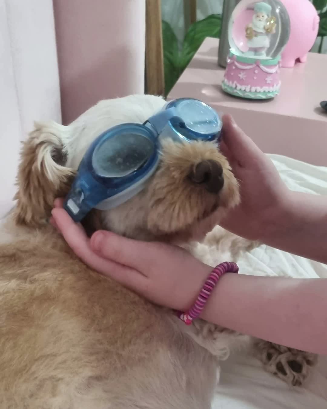 Swim goggles, questionable consent, excellent commitment