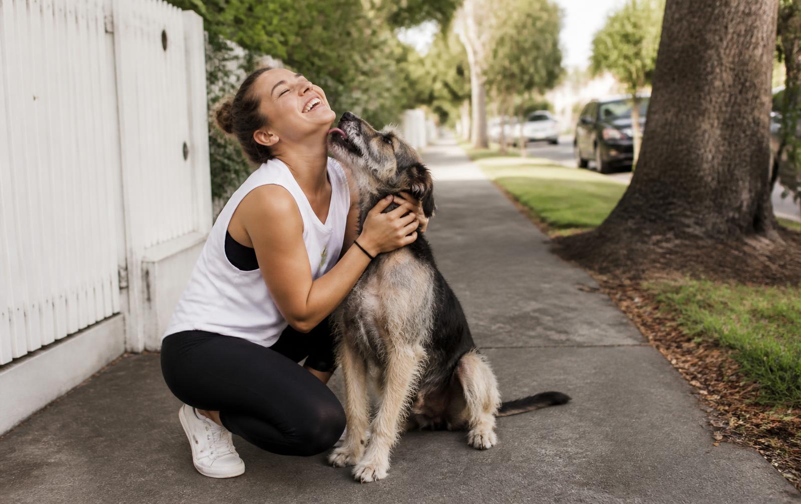 Editorial hero — dog and human out walking together